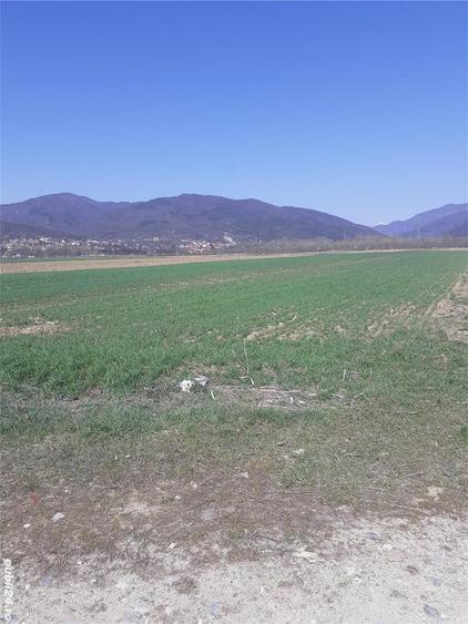 Teren de 2000 mp, în Jiblea Nouă