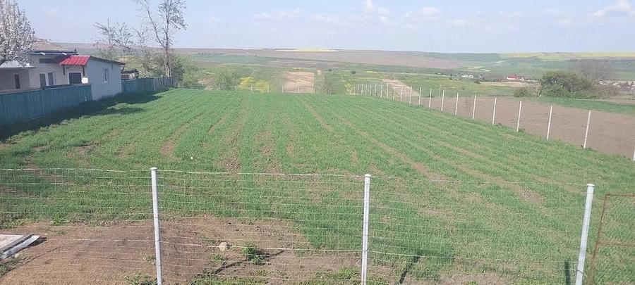 Teren de 2950 mp, în Unțeni