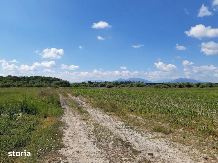 Teren de 20300 mp, în Tractorul