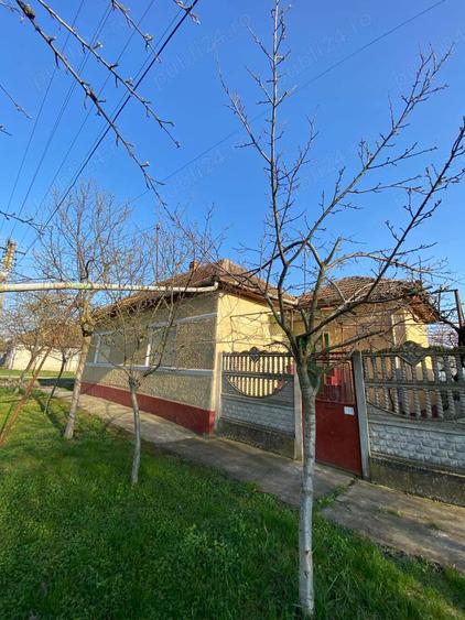 Casă cu 3 camere în Turnu