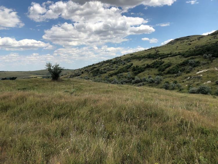 Teren agricol extravilan de 500000 mp, în Tohani