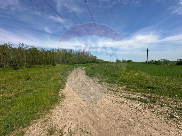 Teren Construcții intravilan de 138104 mp, în Dragomirești-Vale