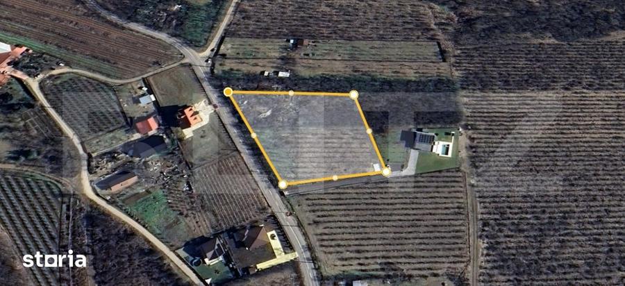 Teren de 2618 mp, în Plopu