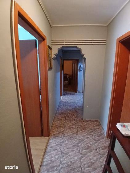 Apartament cu 3 camere decomandat în Delfinariu