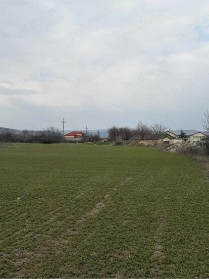 Teren de 10000 mp, în Vernești