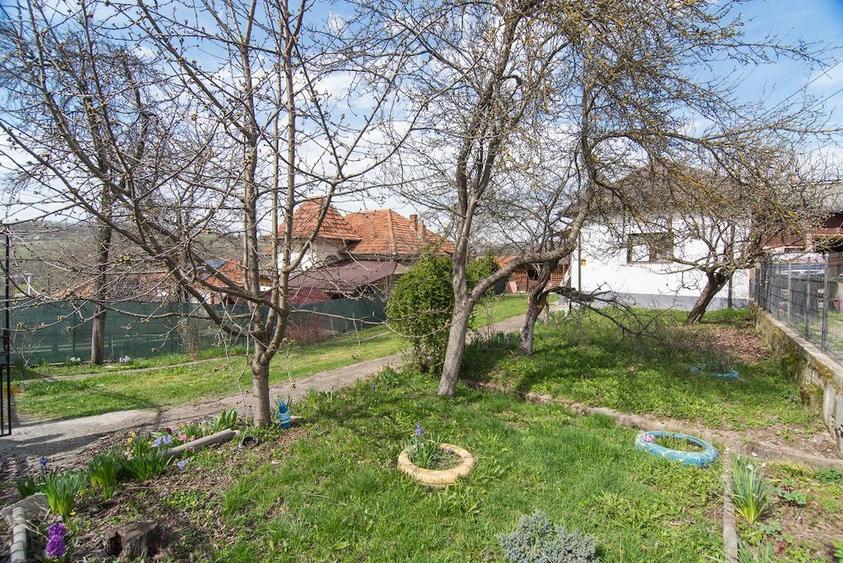 Casă cu Teren 1000 Mp în Văcarea