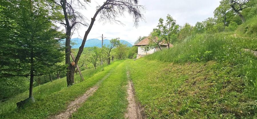 Teren Construcții intravilan de 17422 mp, în Sud-Est