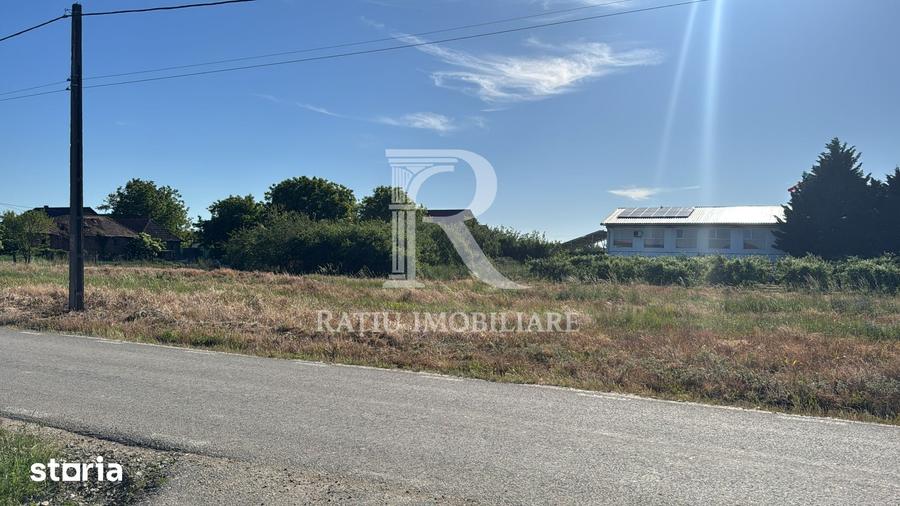 Spațiu comercial, de 1,800 mp, în Sântandrei
