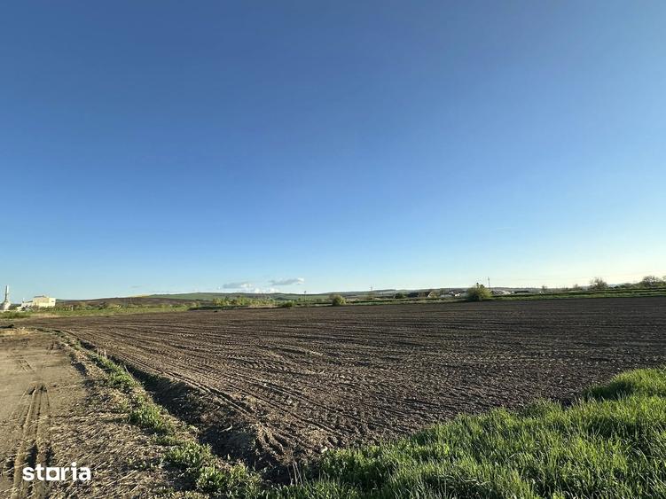 Teren de 10000 mp, în Târnăveni