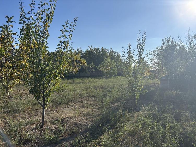 Casă cu 3 camere în Central