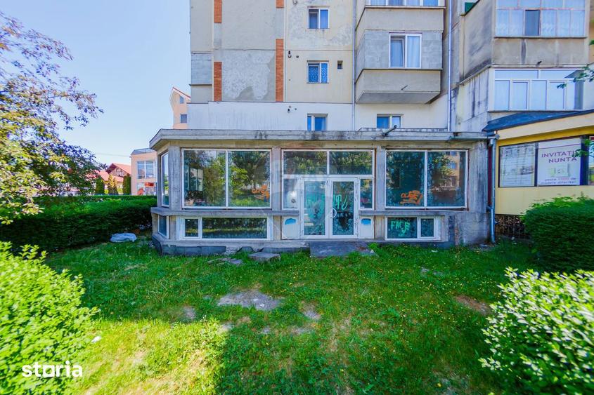 Spa?iu comercial cu apartament la pachet, de vanzare Bulevardul Traian - 20