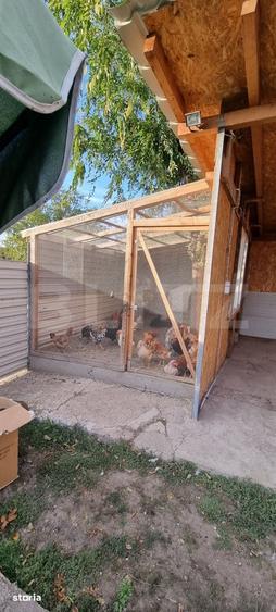Casă cu 2 camere cu Teren 1000 Mp în Mihai Viteazu