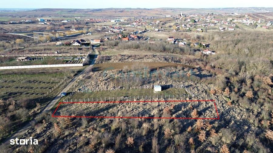 Teren intravilan in apropiere de padure, Paleu, Bihor Gaminvest V4509B - 3
