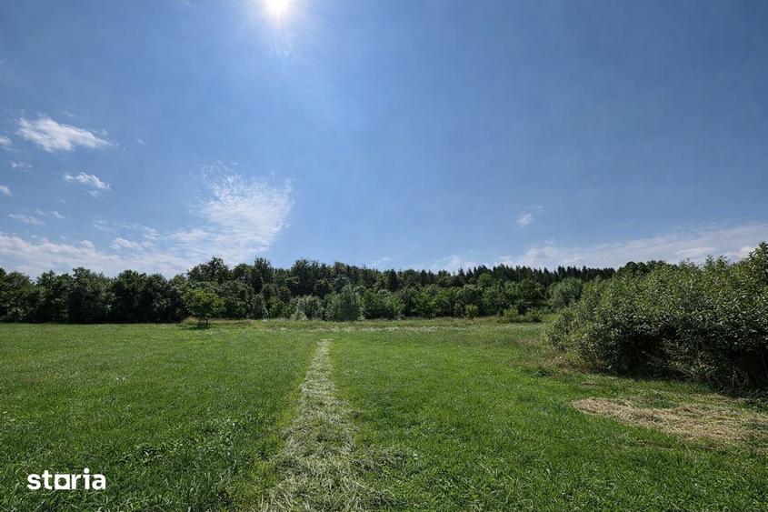 Teren de 3600 mp, în Horodnic