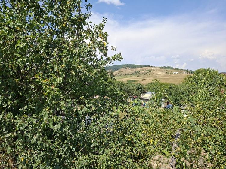 Teren Construcții intravilan de 800 mp, în Vâlcele