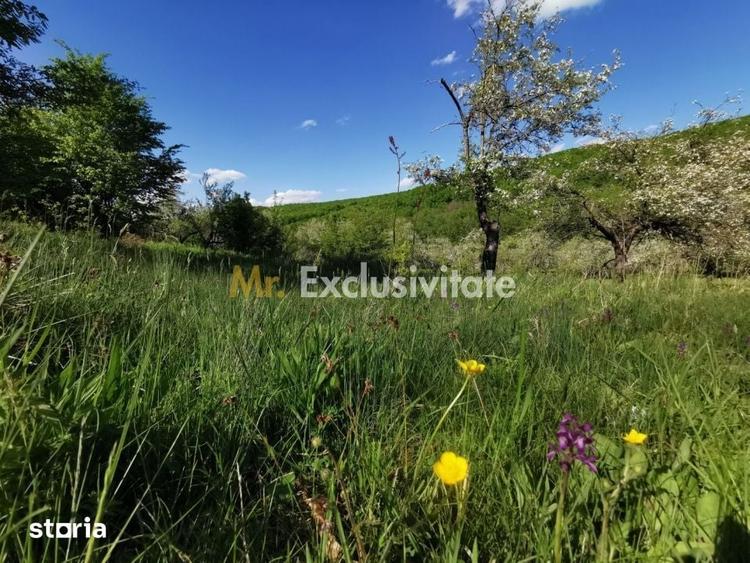 Teren de 680 mp, în Budeasa