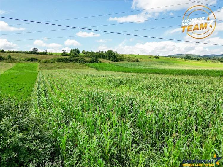 Teren de 7400 mp, în Sâncraiu