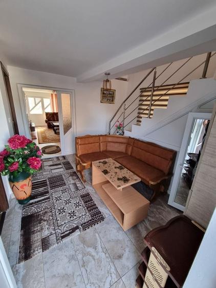 Casă cu 4 camere cu Teren 4448 Mp în Lăcusteni