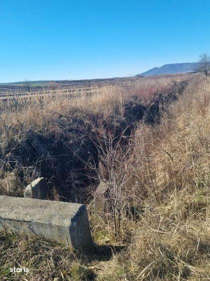 Teren de 3500 mp, în Pericei