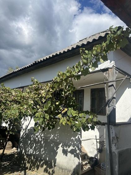 Casă cu 3 camere în Central