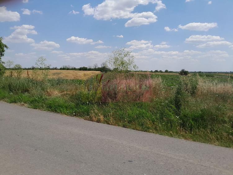 Teren Construcții intravilan de 16500 mp, în Teișori