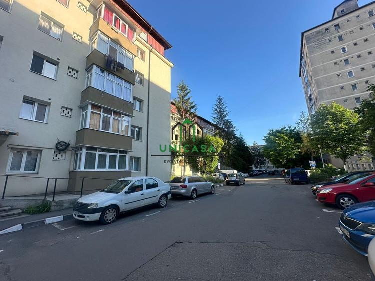 Mansarda - Ostroveni - 2