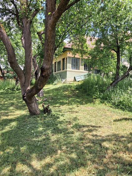 Casă cu 3 camere în Delenii