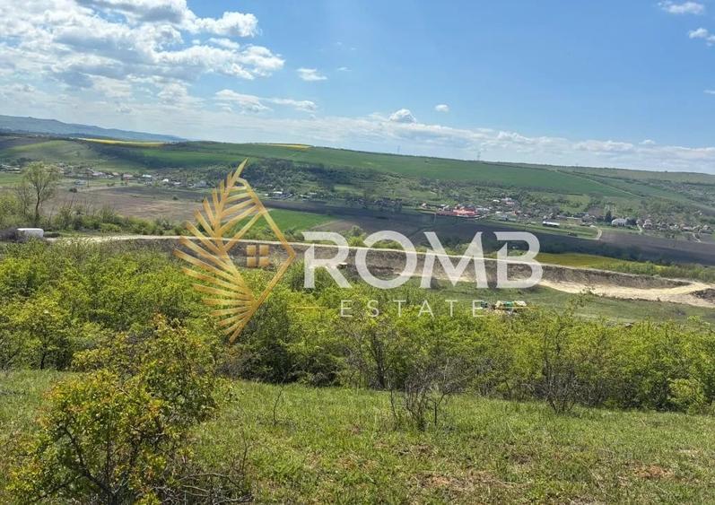 Teren agricol extravilan de 45000 mp, în Luna de Jos