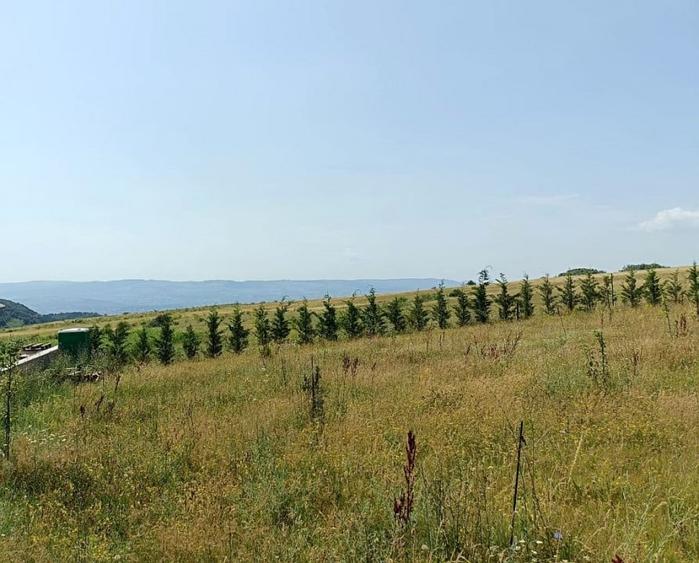 Teren agricol extravilan de 581 mp, în Exterior Nord