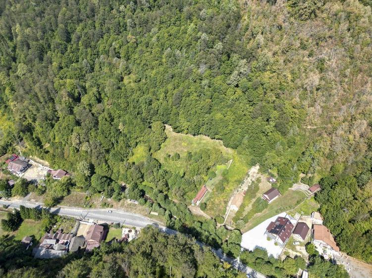 Teren intravilan de 1500 mp pe deal in Moneasa - 2