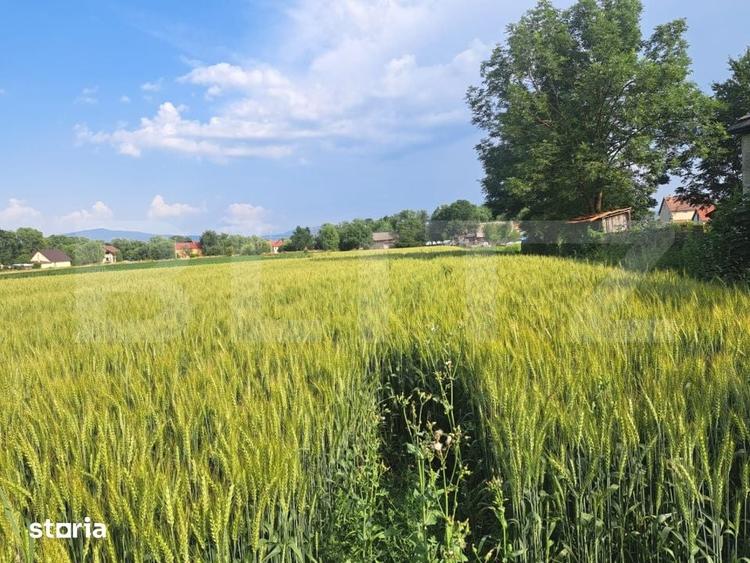 Casă cu 4 camere cu Teren 7020 Mp în Prejmer