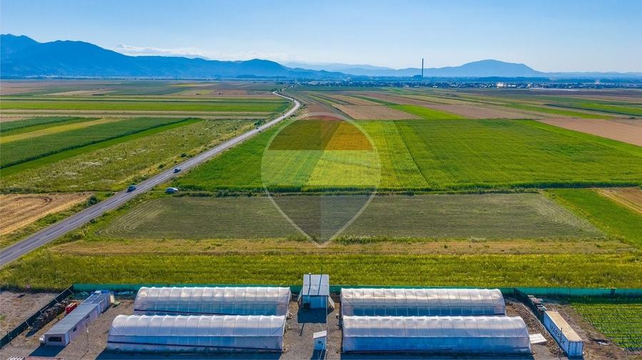 Teren Construcții intravilan de 7500 mp, în Tărlungeni