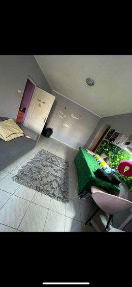 Apartament cu 2 camere semidecomandat, mobilat în Splai Bahlui