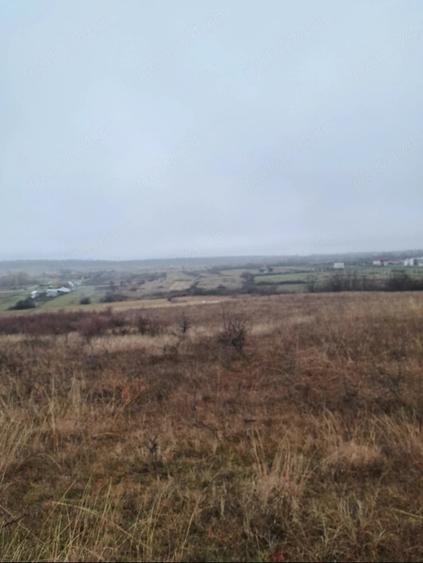 Teren de 10912 mp, în Crasna