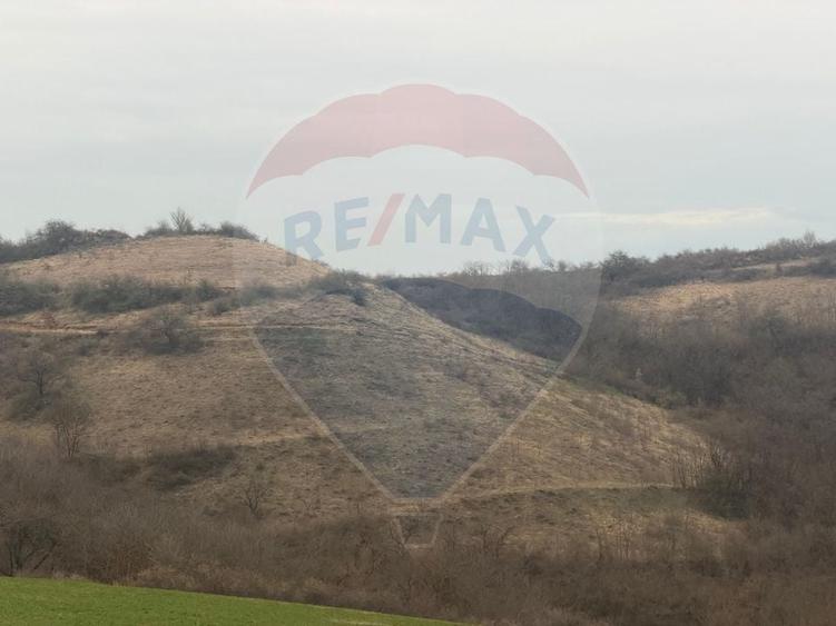 Teren agricol extravilan de 18800 mp, în Crișeni