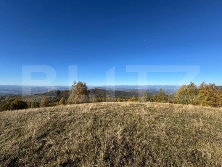 Teren agricol extravilan de 54722 mp, în Orăștie