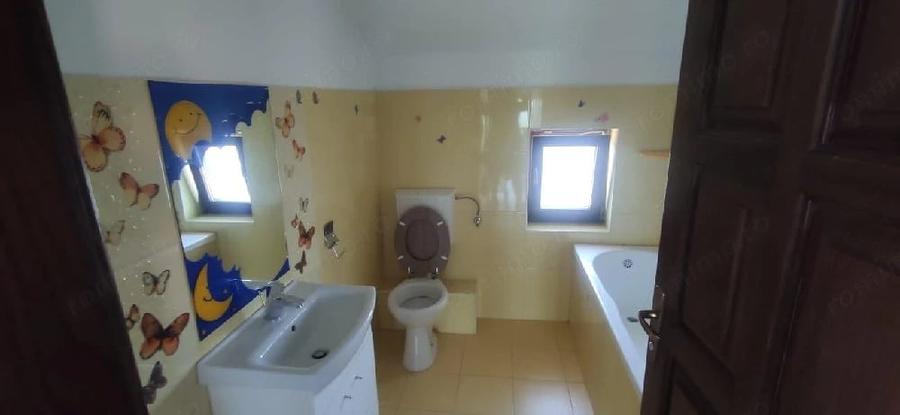 Vila mare individuala, Ghiroda. - 12