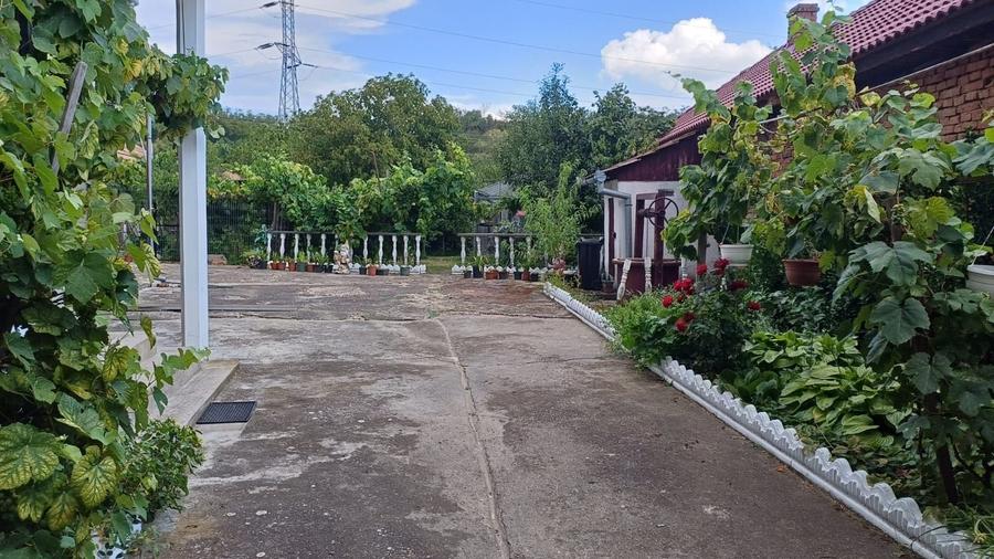 Casă cu 4 camere în Vinerea