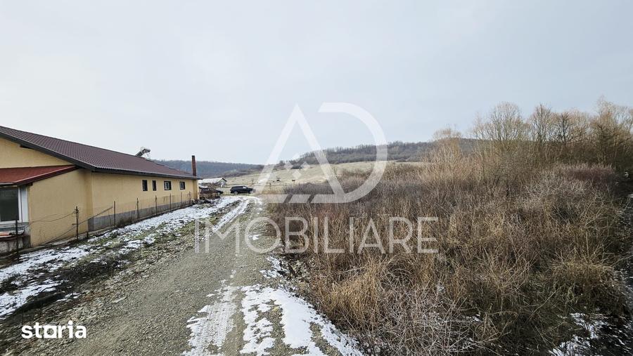 Teren de Vanzare in Turcinesti - 6