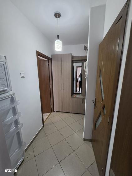 Dristor, 15 minute metrou, Ramnicul Sarat, pe strada Lacramioarei - 11