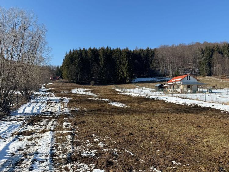 Teren Construcții intravilan de 4521 mp, în Valea Doftanei