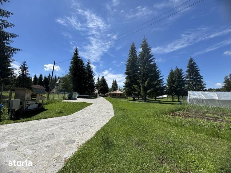 Teren de 9550 mp, în Dorna Candrenilor
