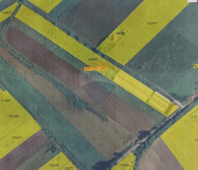 Teren 9,500 mp cu sere si utilitati langa DN 14 - 5
