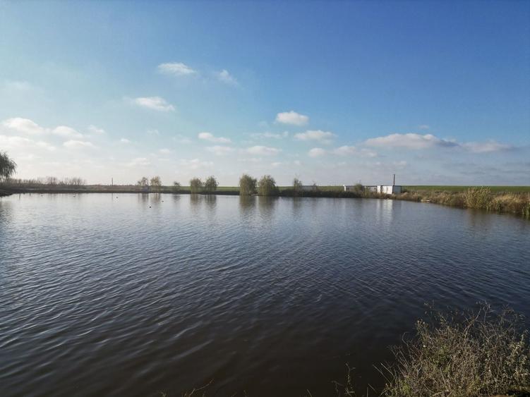 Teren agricol extravilan de 61200 mp, în Orțișoara