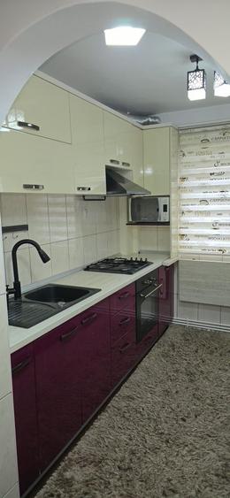 Apartament cu 2 camere decomandat în Paltin