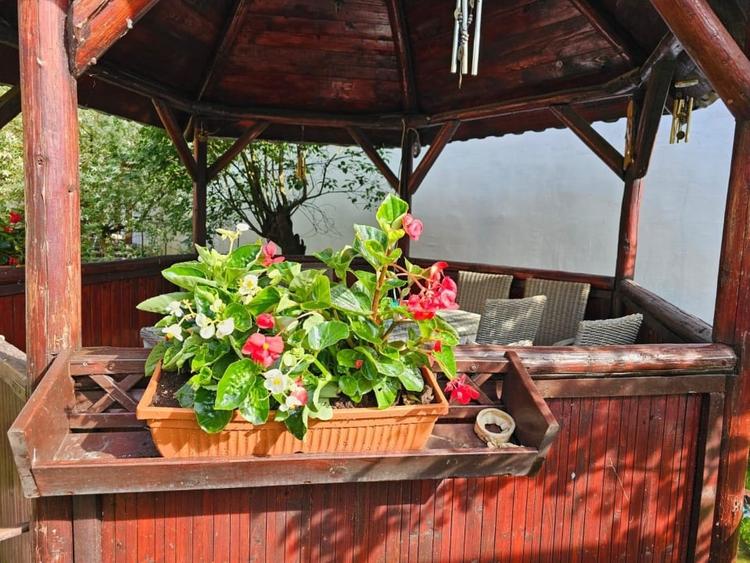 Casă individuală cu 3 camere cu Teren 2300 Mp în Nord-Est