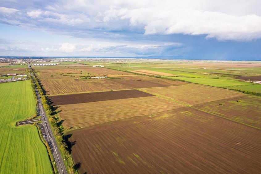 Teren agricol extravilan de 50000 mp, în Sud