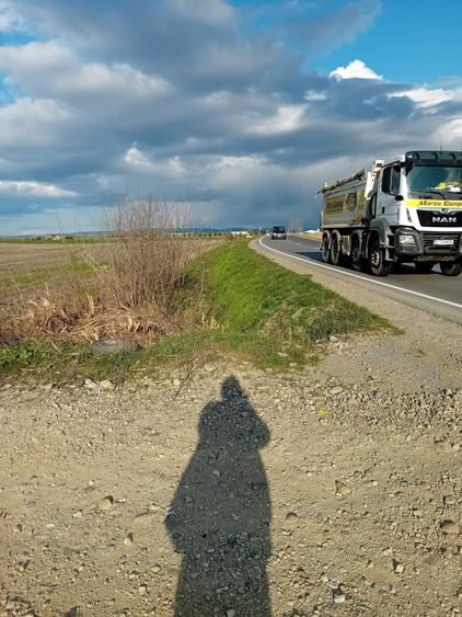 Teren de 23000 mp, în Oșorhei