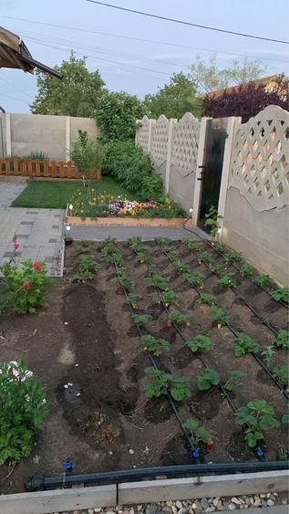 Casă cu 3 camere în Ianova