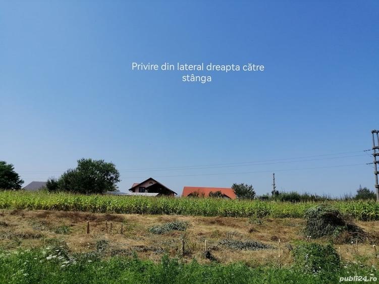 Teren de 3100 mp, în Central